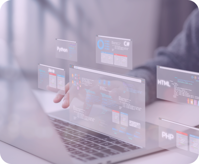 Ciberseguridad vulnerabilidades
